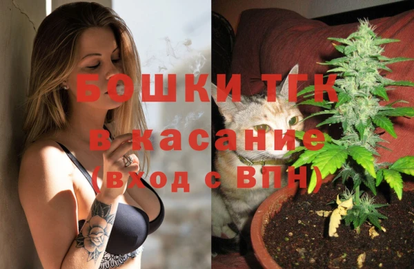 индика Алзамай