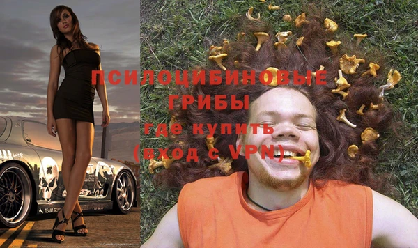 индика Алзамай