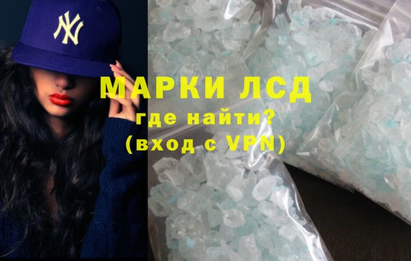 индика Алзамай