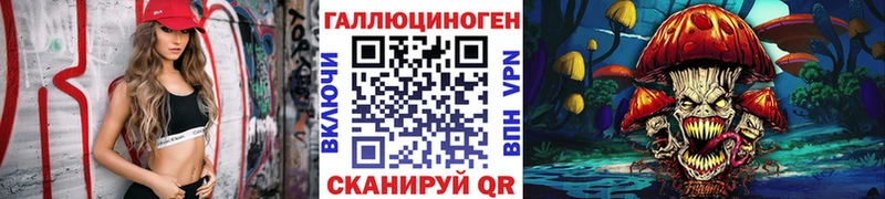Псилоцибиновые грибы Psilocybe  Сосновка 